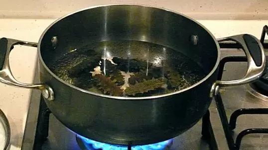 最全面的海参泡发方法太实用了,泡发海参煮还是蒸方法大全