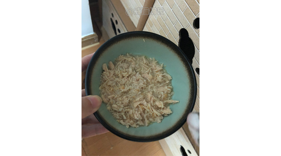 k9幼猫罐头推荐,k9巅峰猫粮