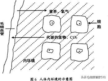 怎样管理好自己的健康,怎样才能使自己的身体健康