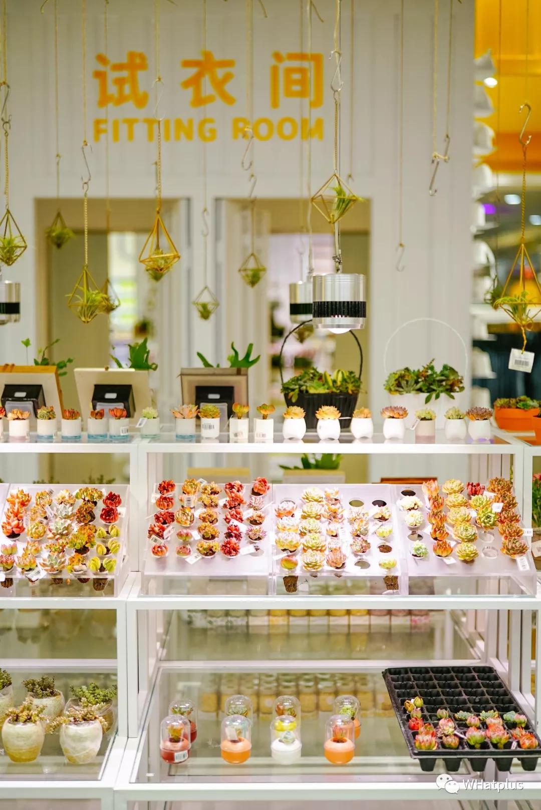 在超市寻宝任务,超市寻宝购物