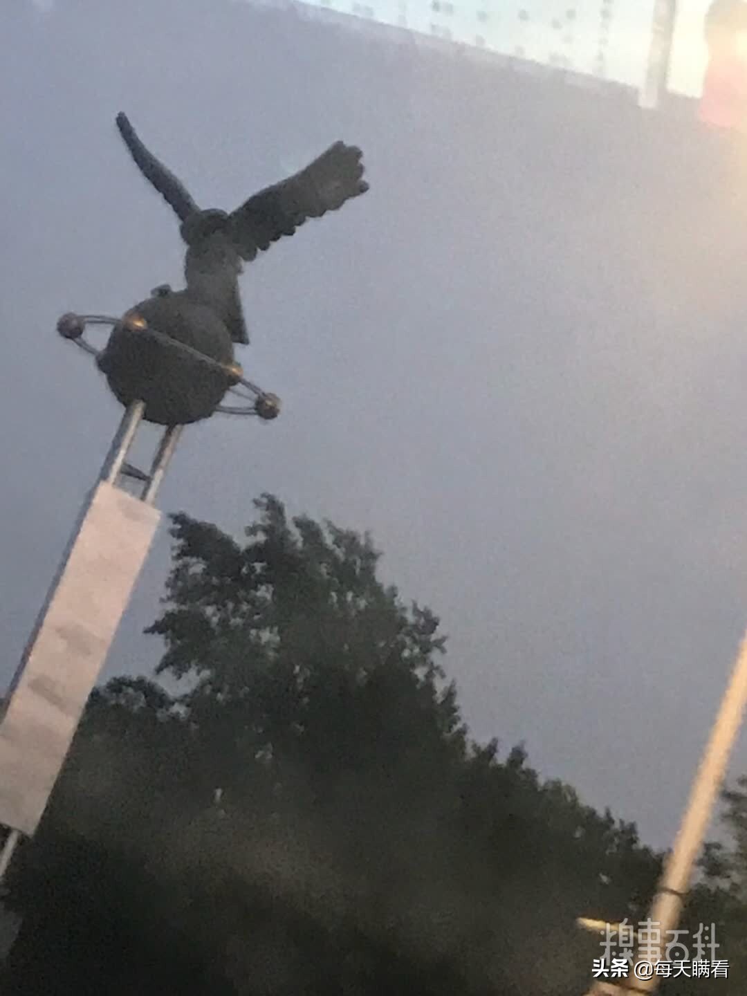 打击盗版从我做起视频,打击盗版从我做起作文