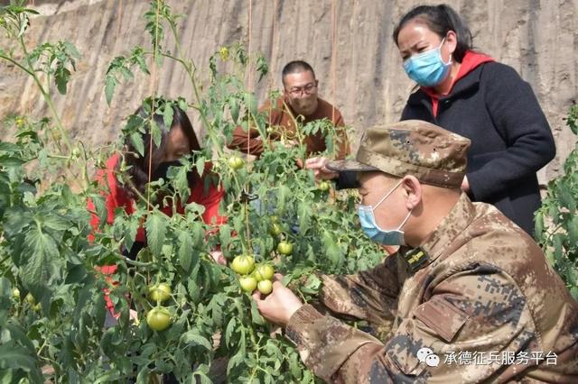 承德市快讯：从抗“疫”实践反观应急应战指挥部动员效能