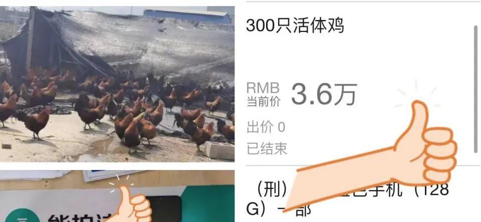 网络司法拍卖全过程,网上司法拍卖能捡漏吗