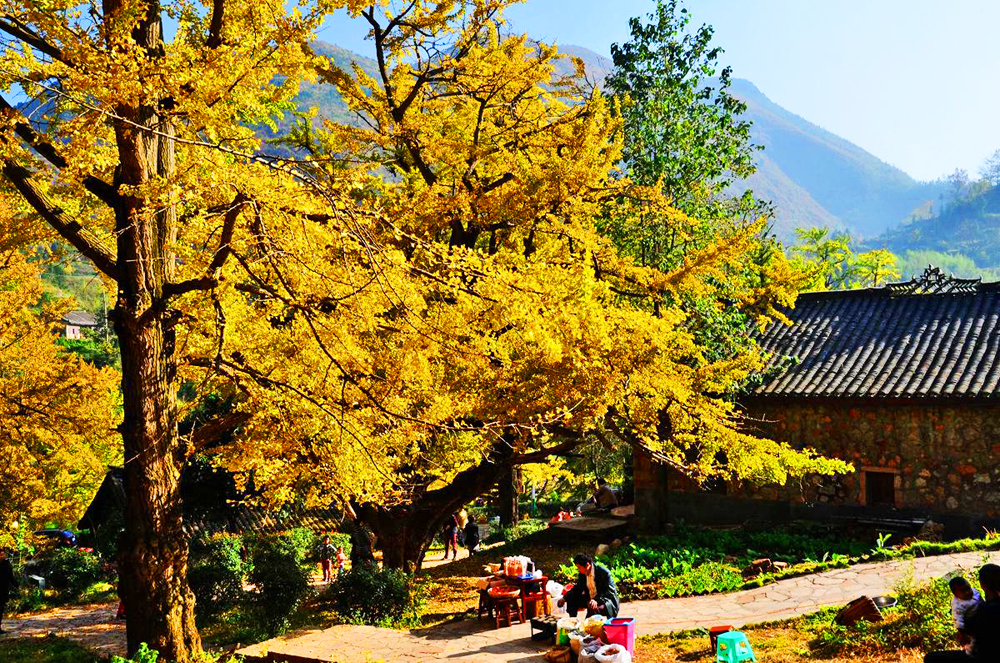 贵州的一个县市，煤炭远景储量380亿吨，气候好风景美可养老