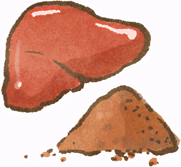 科普猫狗的危害,医生科普养猫狗提高婴儿的免疫力