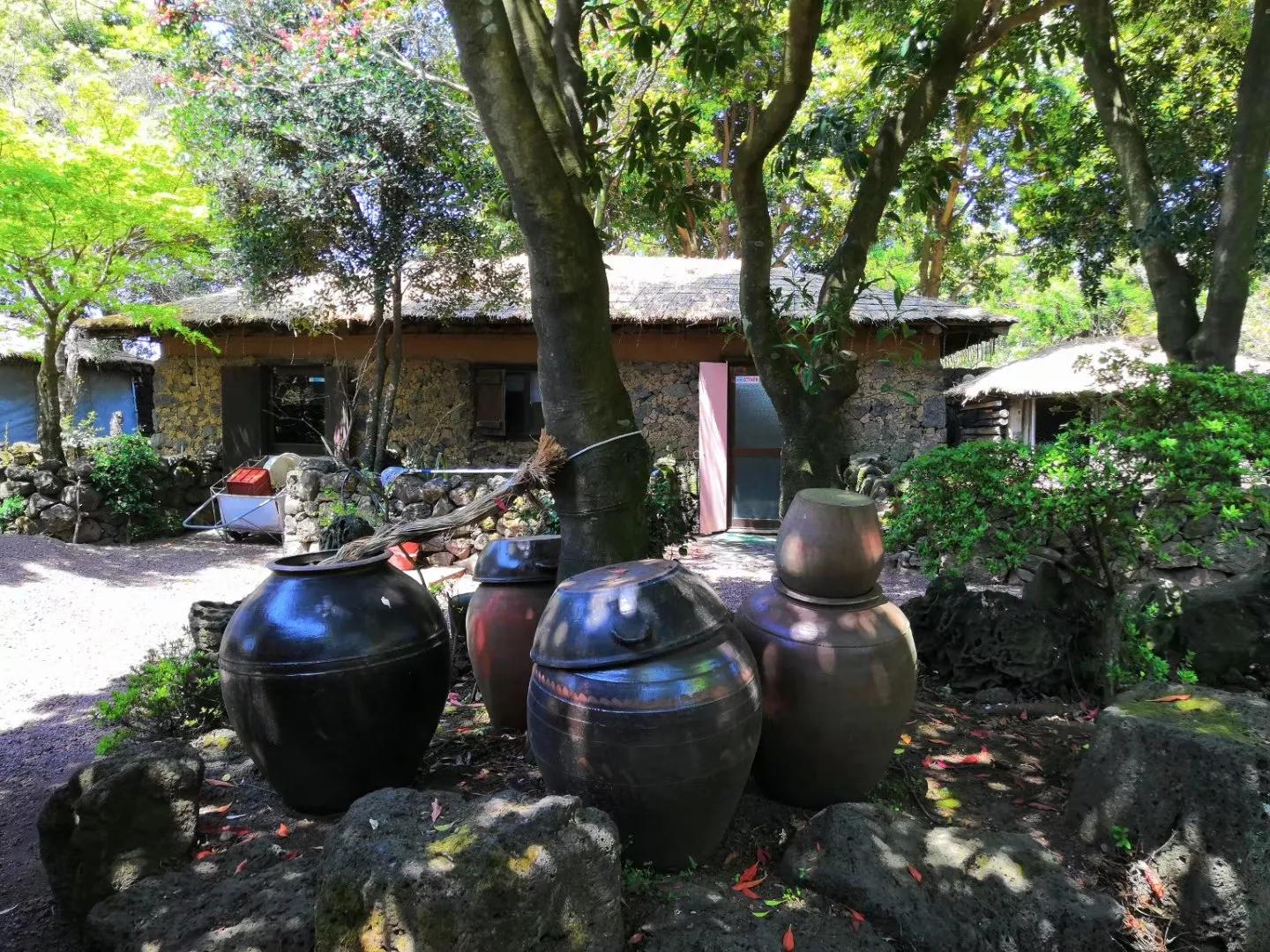 在济州岛发呆的日子,济州岛散心