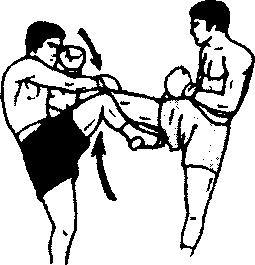 泰拳进攻与防守,泰拳攻击方式