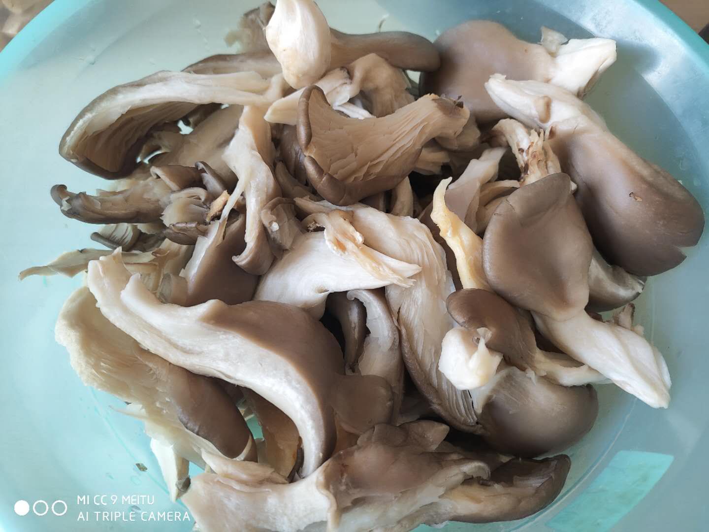 小雪节气适合吃羊肉吗,小雪节气喝羊肉白萝卜汤补而不滞