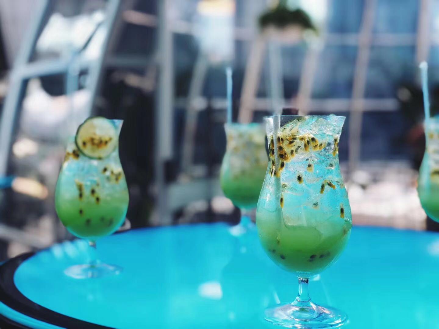 theoasis绿洲,theurbanoasis