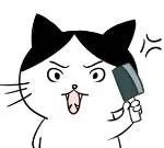 snoopdogg到底该叫什么,snoopdogg有多强