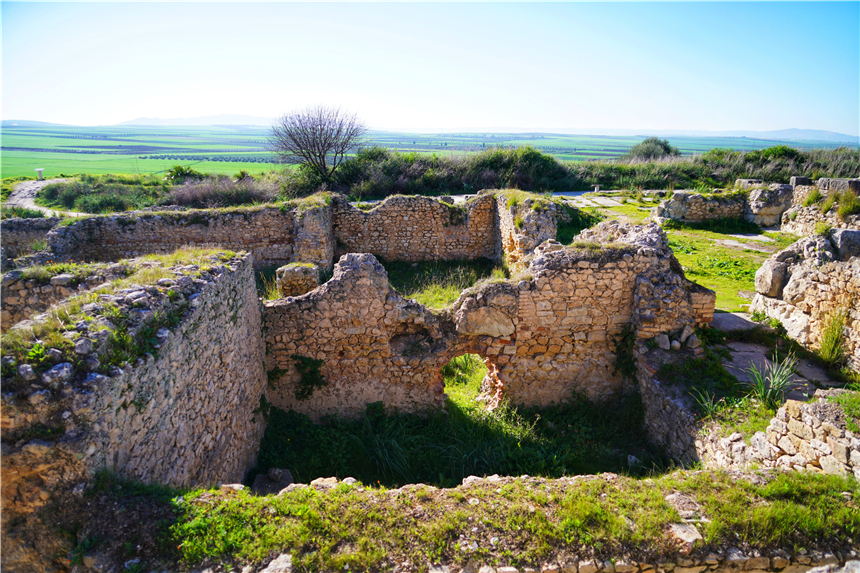 非洲奇遇,摩洛哥唯一的古罗马遗迹,为何从繁华都市到一片废墟?