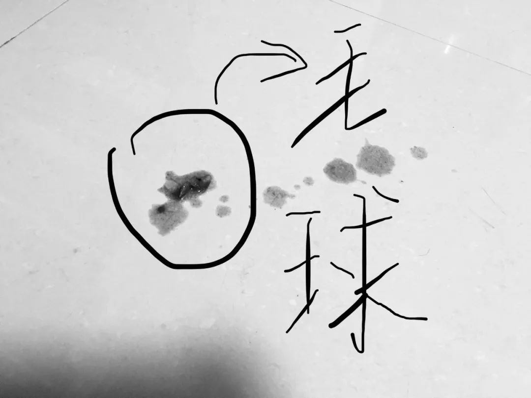 猫咪多长时间吐一次毛球是正常的,猫咪吃了化毛球片还是吐毛球