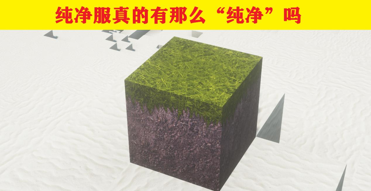 我的世界服务器玩家五条信息,我的世界关于服务器的知识