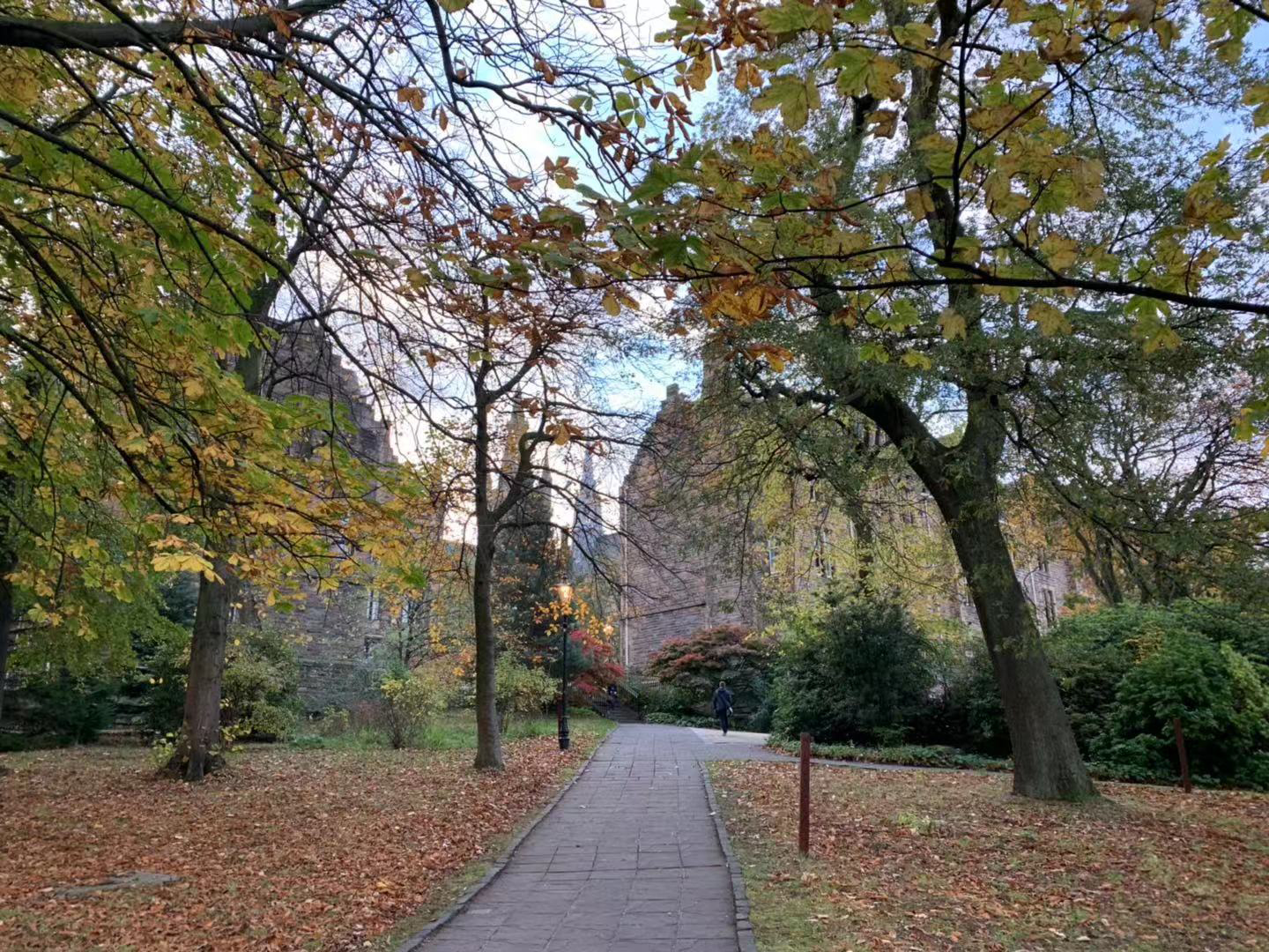 英国短期留学跟留学签,英国硕士留学可以申请工签吗