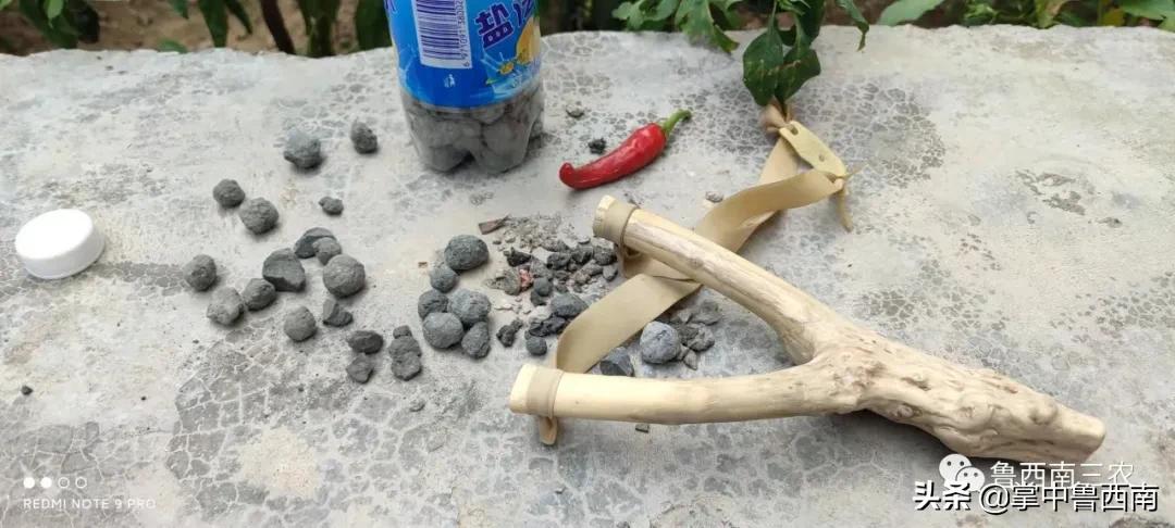 打气枪的少年,打靶的少年