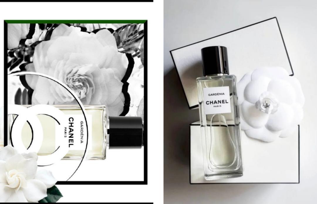 假装买手｜|​你希望自己夏天闻起来是什么味道？