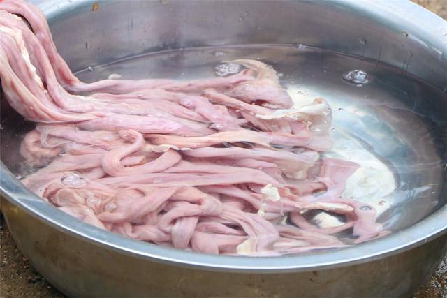 猪大肠炒出来怎么是苦的,猪大肠怎样炒才脆又好吃