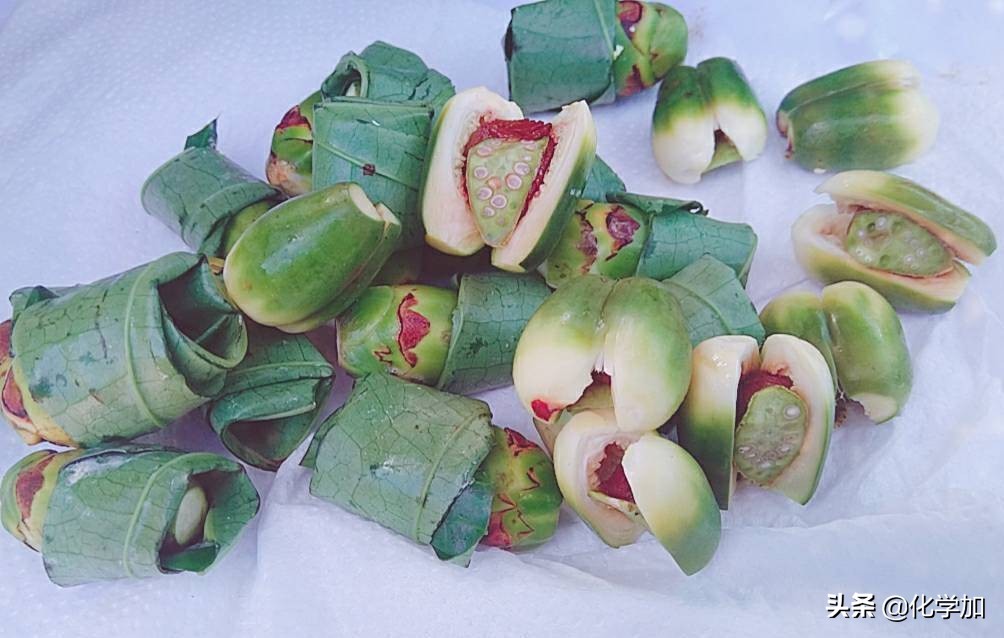 治病名药VS致癌魔丸——争议的双面槟榔