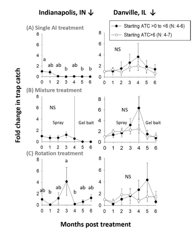 你家的蟑螂再狡猾也躲不过这一招,有没有什么解决蟑螂的小妙招