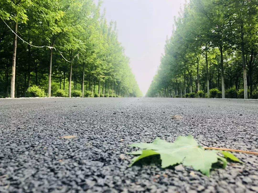 邯郸太行药王谷邀请您~相约五月花神