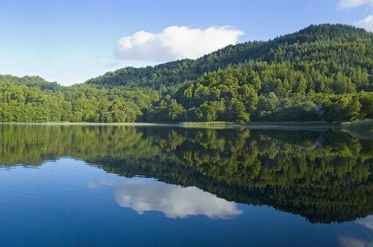 在“美”的语境下，大家房产美庐系壹号作品，启幕德清