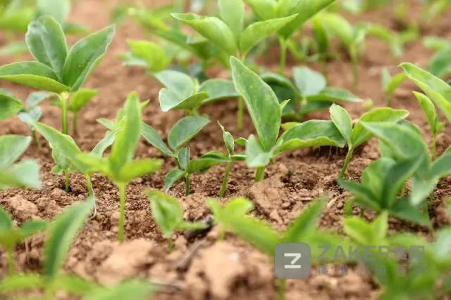 贵州决战脱贫攻坚走进万山,贵州脱贫攻坚视频