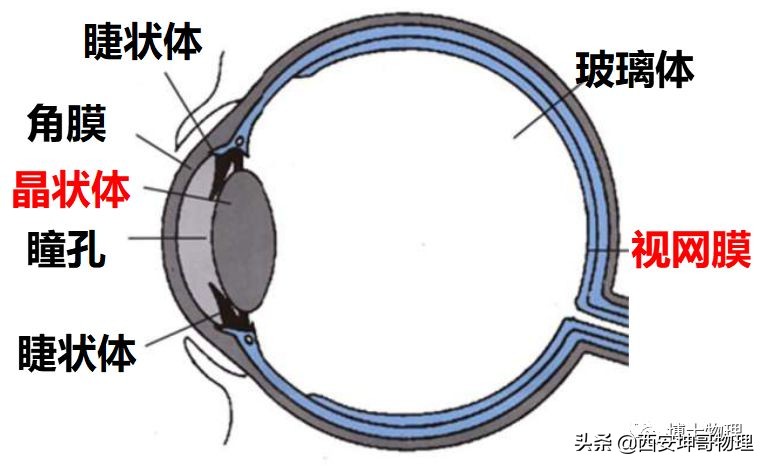 物理初中光学知识,初中物理眼睛与光学仪器