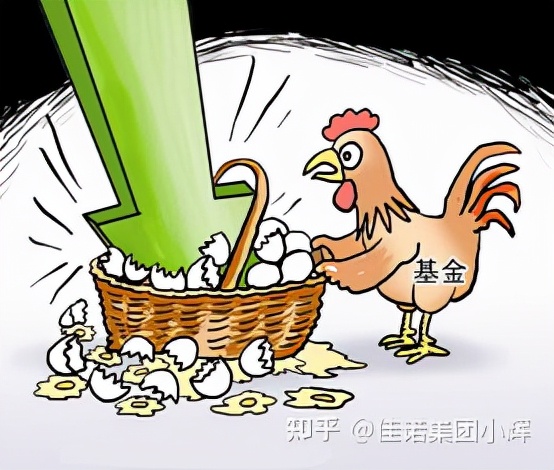 怎么定义基金公司,什么是基金投资公司