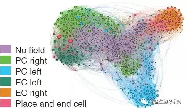 Science揭秘：为什么“好记性不如烂笔头”？