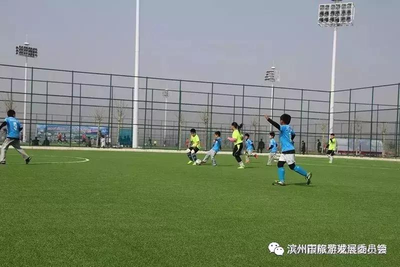 紫藤艺术节,紫藤花风铃艺术节活动