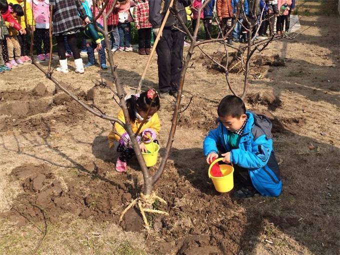 植树节活动策划方案2018,植树节活动策划汇编15篇