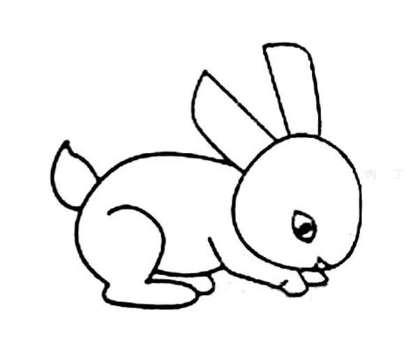 兔子的简笔画和它的特征,兔子的简笔画漂亮颜色