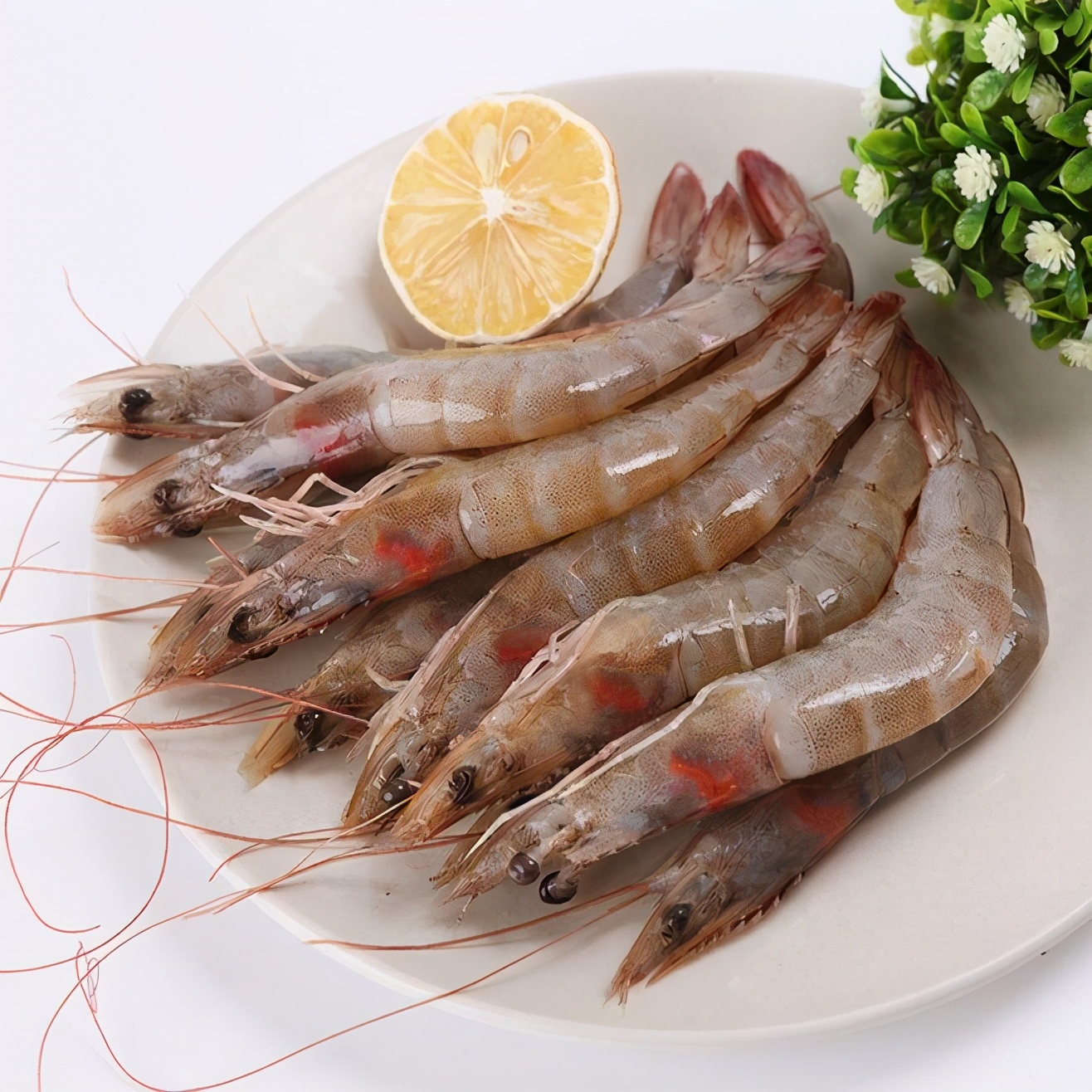 海虾的做法小视频,海虾的做法