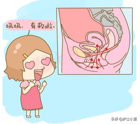打喷嚏漏尿莫大意，盆底疾病缠住你，切勿病急乱投医，一文解难题