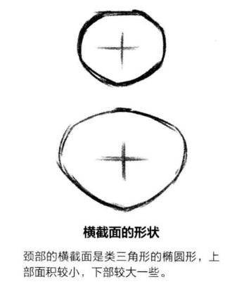 零基础漫画侧脸教程,初学漫画头入门零基础