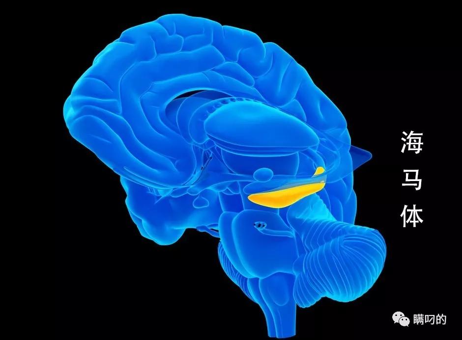 整个微信都在刷屏,微信美国最新消息