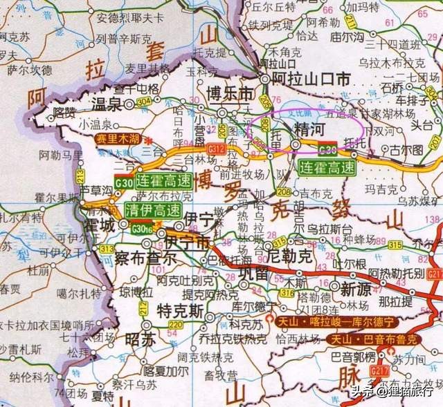 新疆的精河县,新疆精河枸杞乌鲁木齐