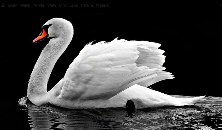 长程心理动力学治疗,心理动力学疗法有效吗