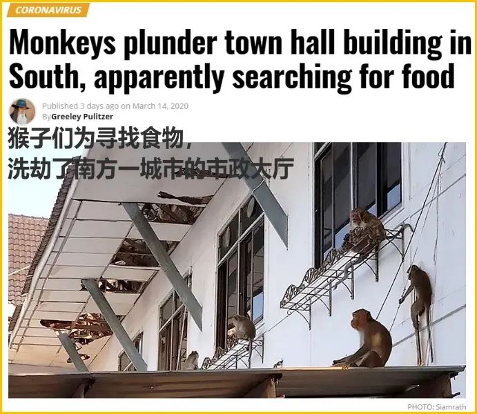 少了中国游客，整个生态圈都乱了