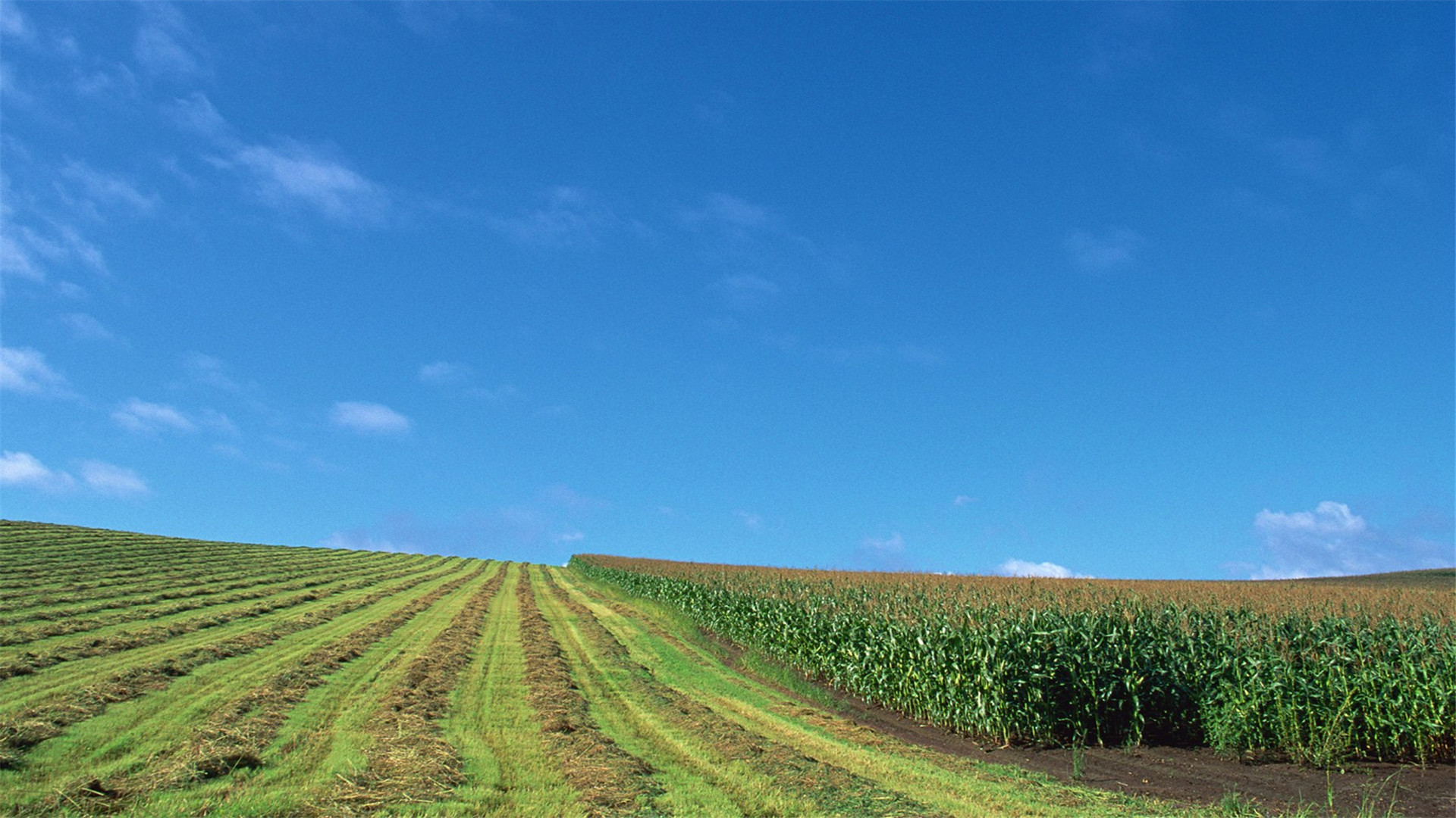 蓝色护眼壁纸唯美图片,最美的护眼桌面壁纸