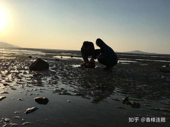 在大连生活怎么样,在大连生活十年是什么体验