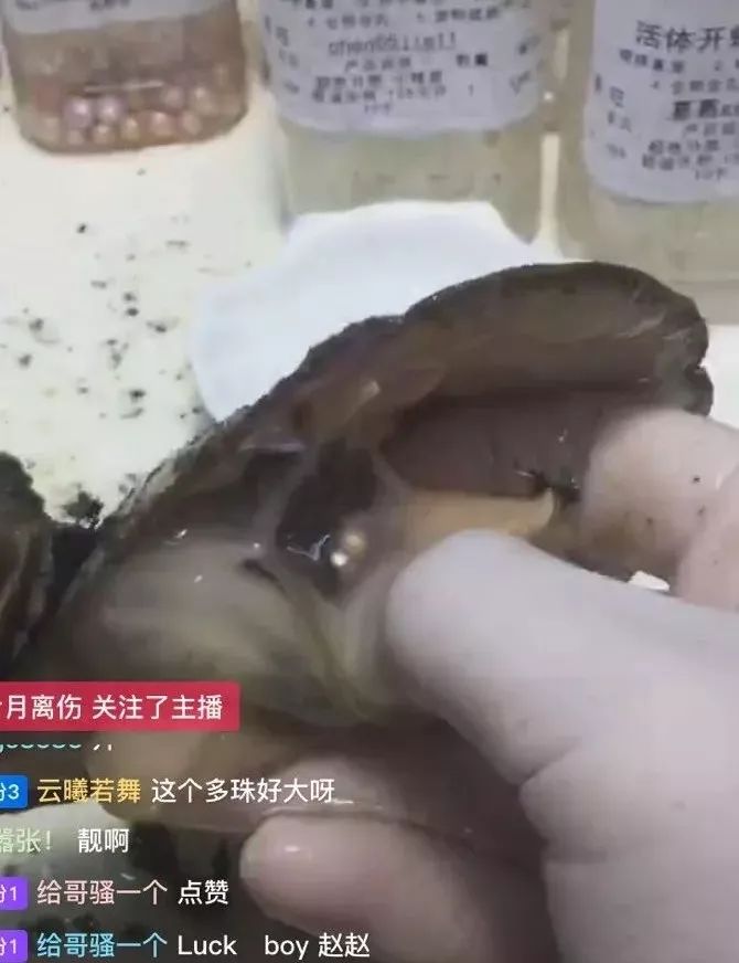 淘宝直播间赌石骗局揭秘,解密淘宝