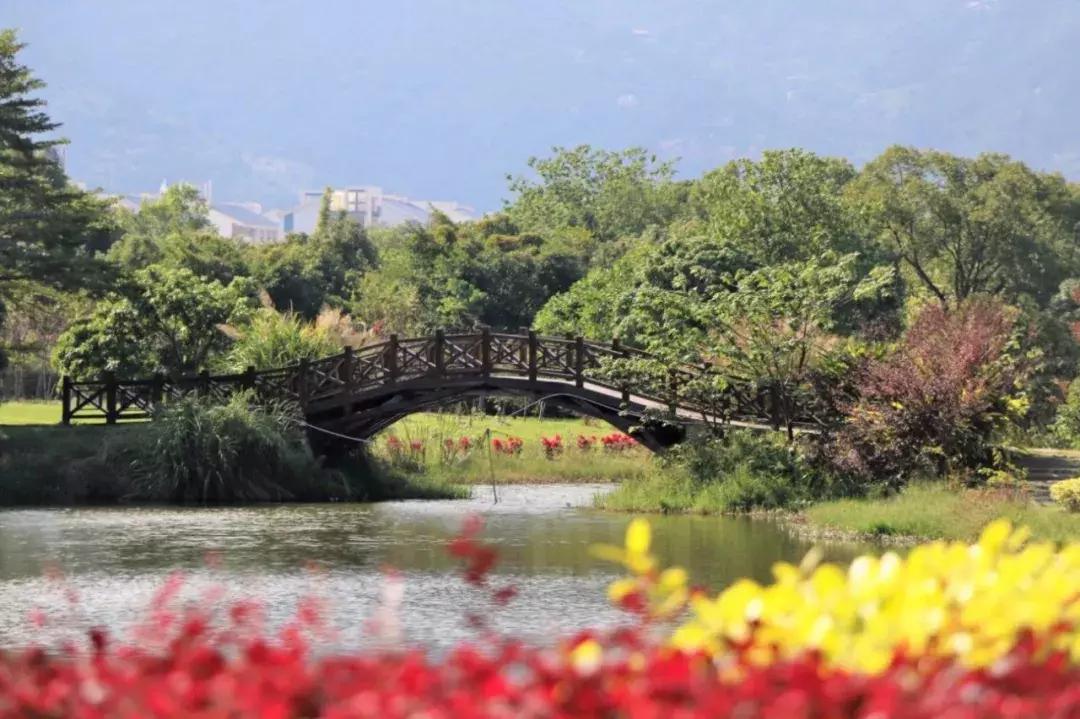 文科能报考福州大学的专业,福州大学多少分可以任选专业