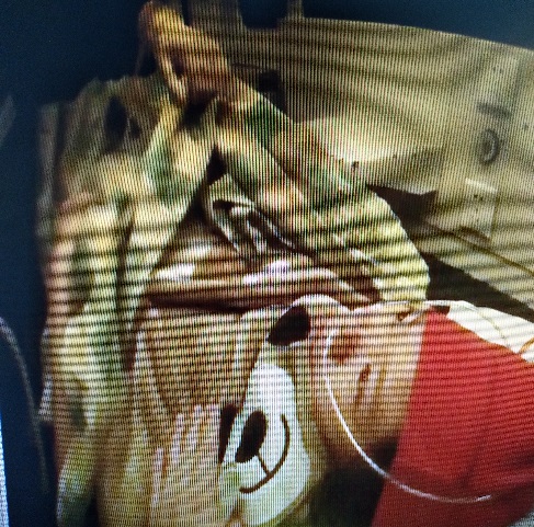 惊险1小时！29周小生命在急救人精准施救中诞生