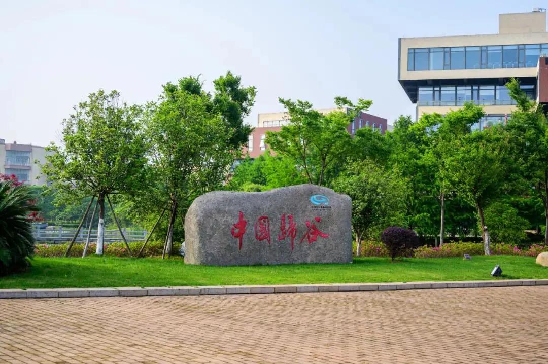 厉害了浙江嘉善00后,实力嘉善