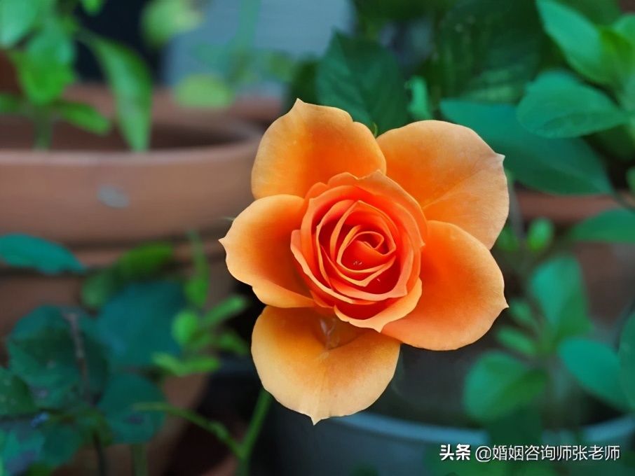 一个执意要离婚的男人怎么挽留,怎么样挽留要离婚的人