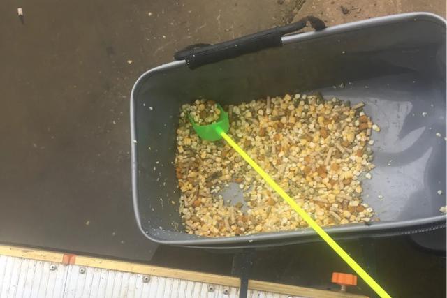 高手分享钓大鱼的5个必备技巧,水越浅钓的越远吗