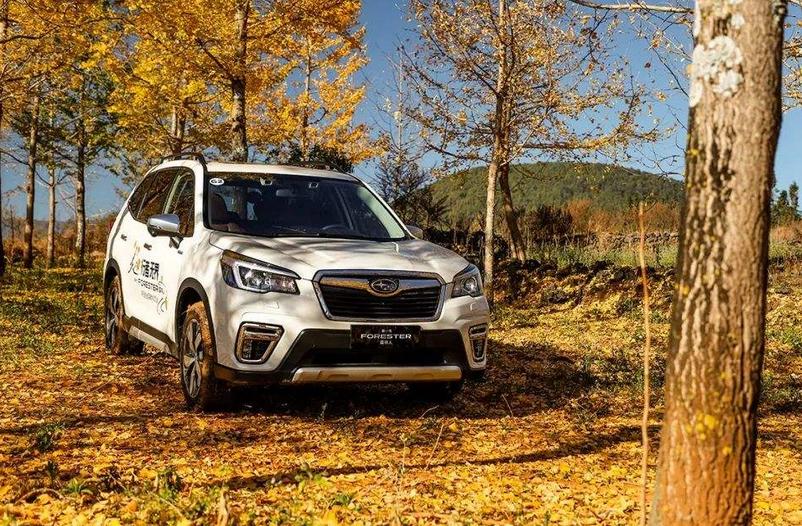 38号车评哈弗h9,试驾哈弗h9的视频