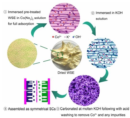 哪些人可以发sci,高中生可以发sci吗