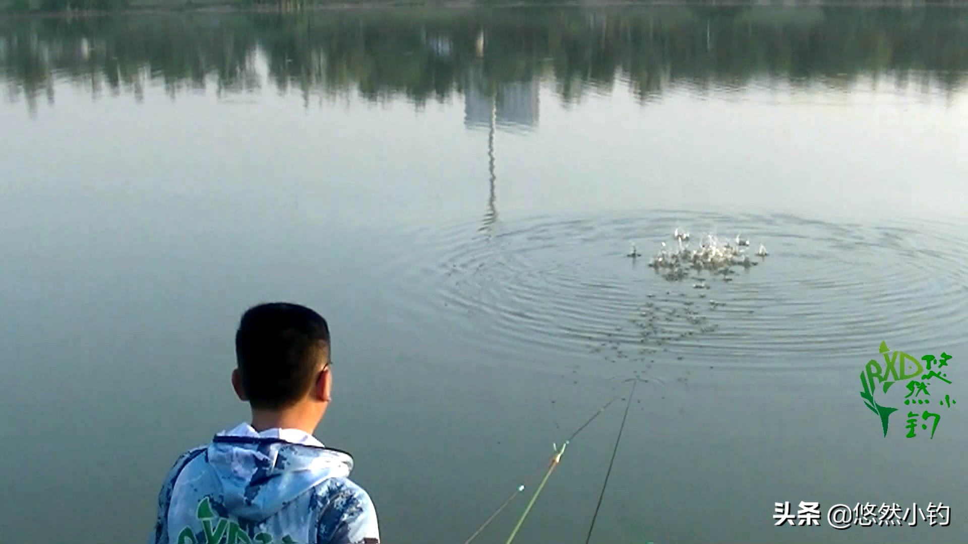 野钓如何避小鱼钓大鱼,野钓时小钩细线搏大鱼的技巧